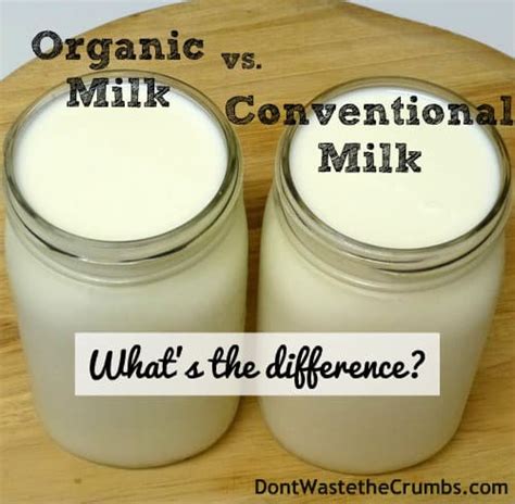 Organic Milk Vs Conventional Milk Whats The Difference