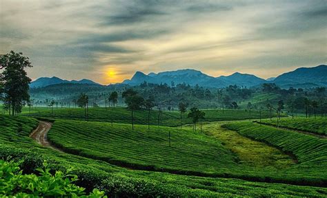 Surreal Landscape In Ooty India Landscape Ooty Landscape Photography