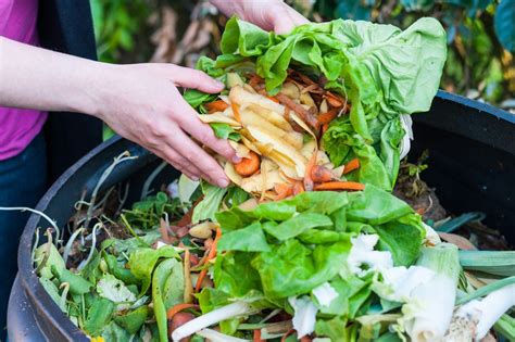 Composting And Food Waste In Your Home Foodprint