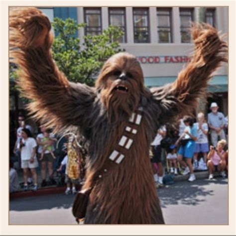 Chewbacca Hollywood Studios Disney New Star Wars Disney Insider