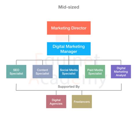Digital Marketing Team Structure Equinet Academy 2022