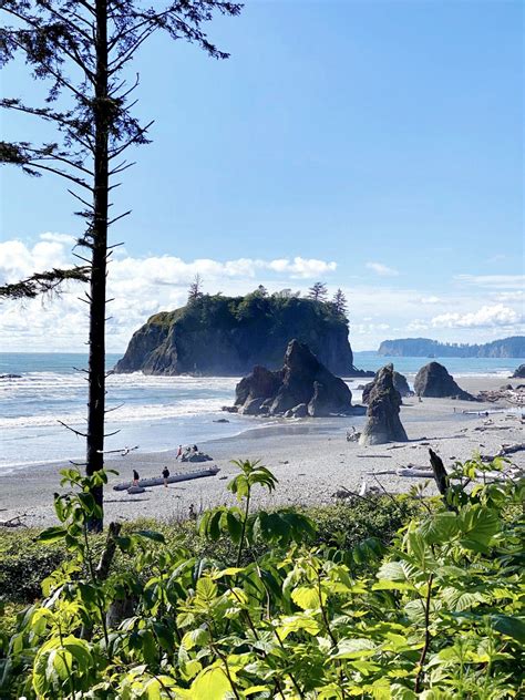 The Perfect Olympic National Park Itinerary 2 Day Guide With Tons Of Tips