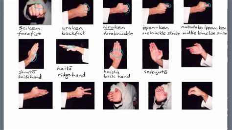 Karate Terminology Hand Positions Youtube