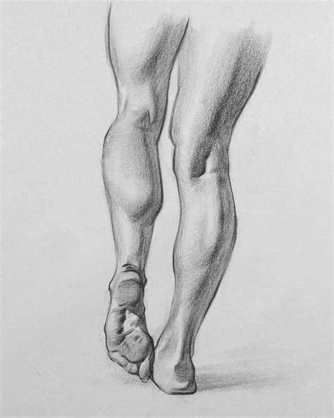 Calf Muscle Drawing Reference And Sketches For Artists