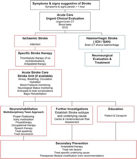 Stroke Care Management Algorithm Adapted From The 2012 National