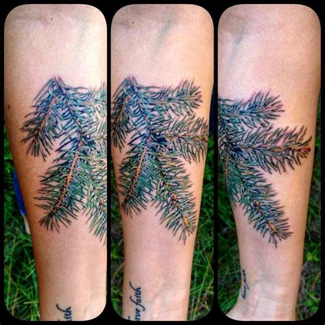 Pine Needle Tattoos I Tattoo Pine Needles
