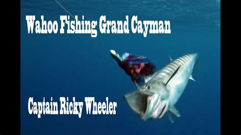 Wahoo Fishing Cayman Islands Pickle Bank Captain Ricky Wheeler Ep1