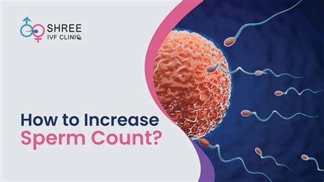 How To Increase Sperm Count Shree Ivf Clinic