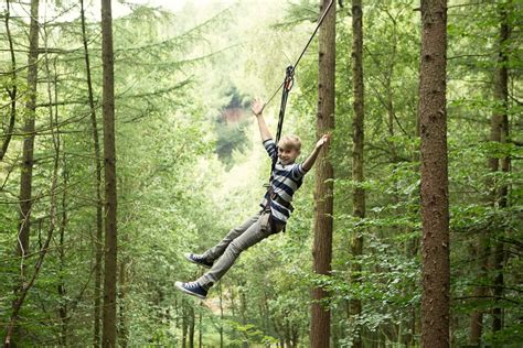 Go Ape Gears Up For Summer With New Openings And Adventures For