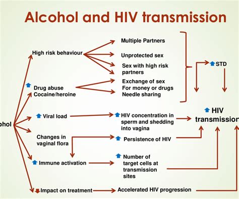 Alcohol Consumption May Facilitate Human Immunodeficiency Virus Hiv