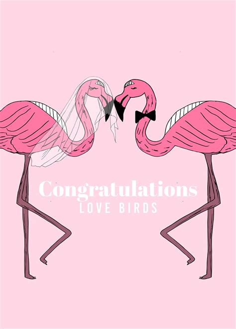 Congratulations Love Birds Card Scribbler