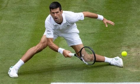 Wimbledon Djokovic Eyes No Swiatek Leads Women S Draw