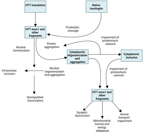 Huntingtons Disease A Clinical Review Hospinov The Platform For