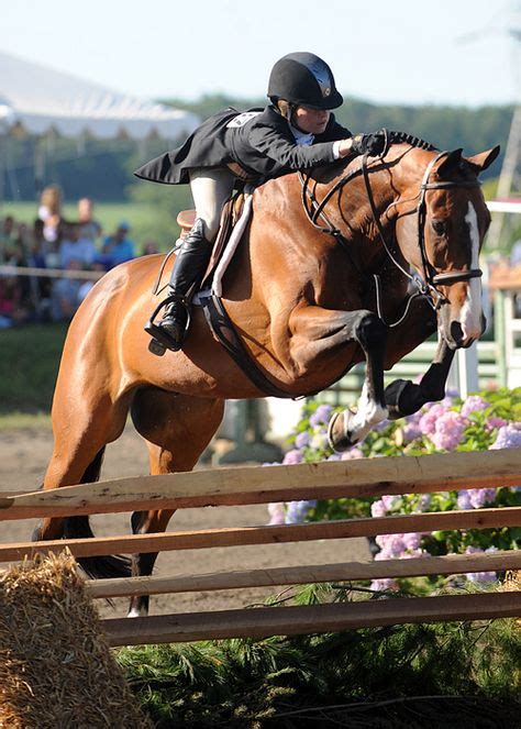 200 Best Show Jumping Images In 2020 Show Jumping Equestrian