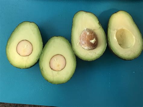 This Avocado Seed Split Perfectly In Half When Opened Rmildlyinteresting