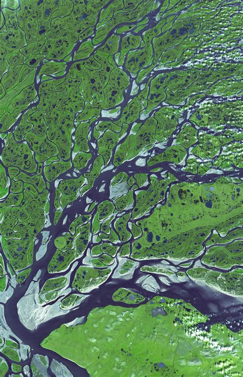 Lena River Delta Russia