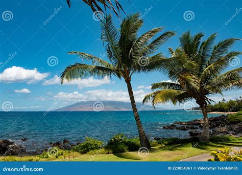 Hawaii Beach Hawaiian Ocean Aloha Maui Island Tropical Beach