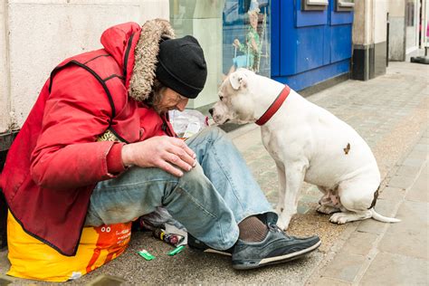 Dots Charity Cares For Dogs Who Live On The Street With Homeless Owners