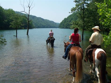 Horseback Riding Near Bryson City North Carolina Things To Do