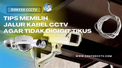 Tips Memilih Jalur Kabel CCTV Agar Tidak Digigit Tikus DOKTER CCTV