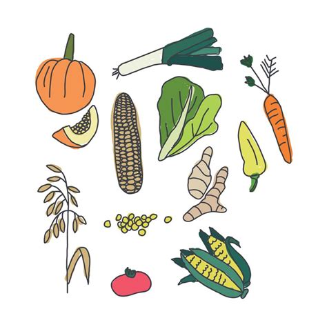 Colorful Doodle Of Vegetables 169841 Vector Art At Vecteezy