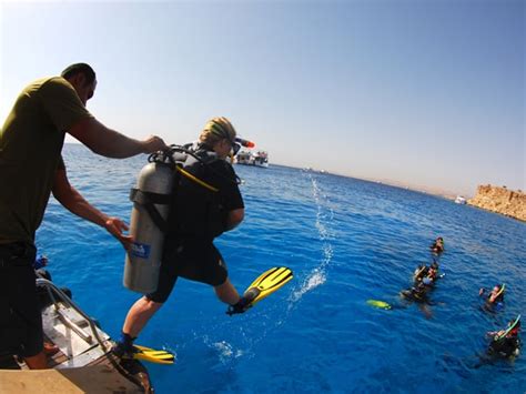 Sharm el sheikh tours and things to do: Sharm el Sheikh - Camel Dive Hotel » Diverse Travel