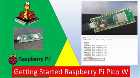 Getting Started With Raspberry Pi Pico W Wireless MicroPython