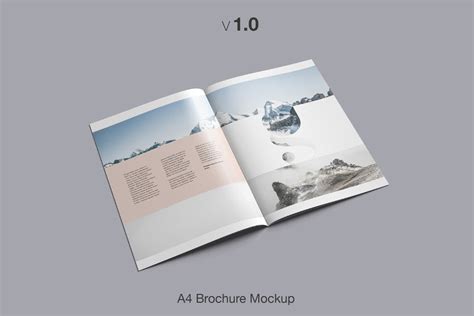 perspectives   brochure mockup mockup hunt