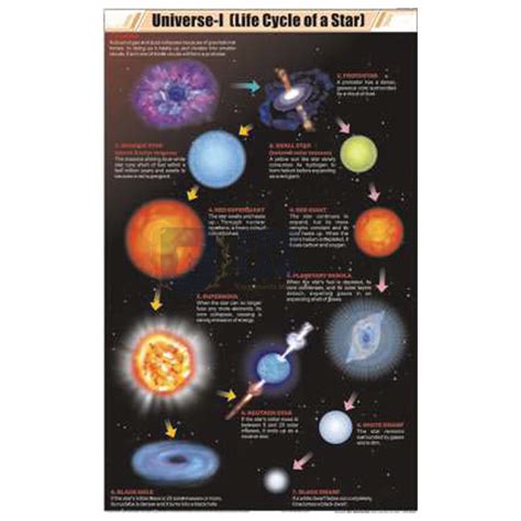 Universal Life Cycle Of A Star Chart India Brazil Mexico Colombia