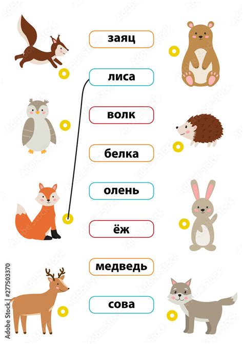 Learn Russian Words Match Words With The Correct Pictures For