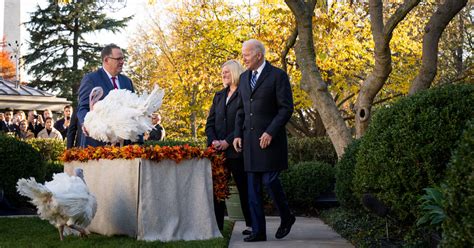 biden pardons turkeys ahead of thanksgiving the new york times