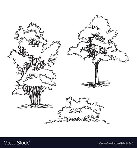 Set Of Hand Drawn Architect Tree And Bushes Vector Image