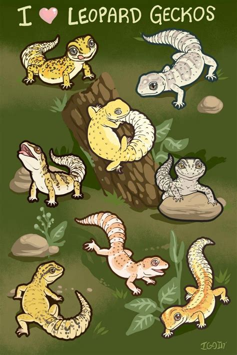 88 Leopard Gecko Coloring Page Gabriel Romero Adriano