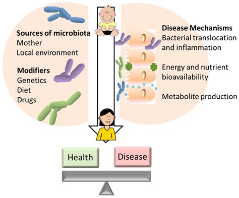 Gut Microbiome Archaea May Influence Childhood Asthma Risk