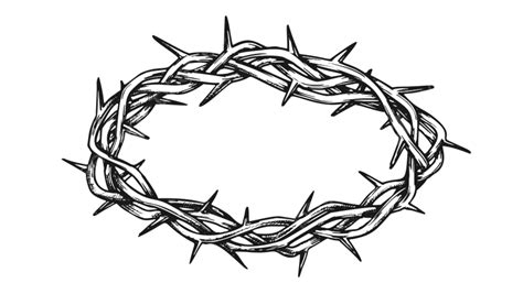 Thorn Crown Clipart Vector Crown Of Thorns Antique Tool For Pain Retro