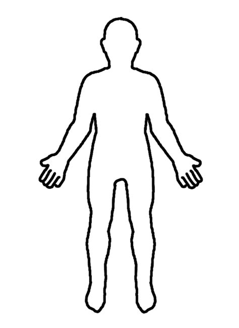 Female reproductive system anatomy blank body outline. Blank Human Body Diagram - ClipArt Best