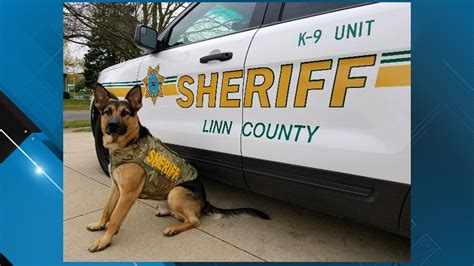 Charity Donates Protective Vest For Linn Co Sheriffs Office K9 Bingo