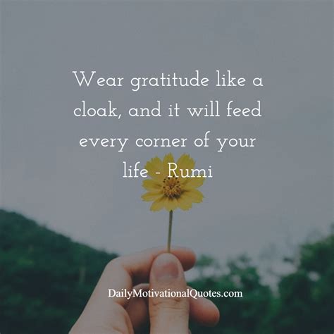 3 Rumi Quotes On Gratitude Daily Positive Quotes Gratitude Quotes