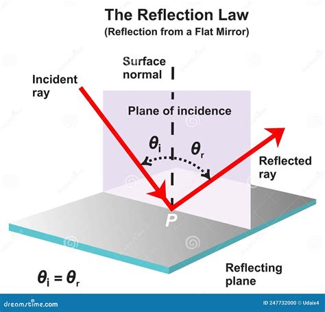 The Reflection Law Infographic Diagram For Physics Science Stock Vector
