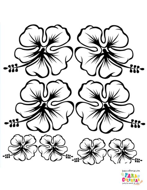 Flor Hawaiana Dibujo Contorno Como Dibujar Una Flor Hawaiana Paso A