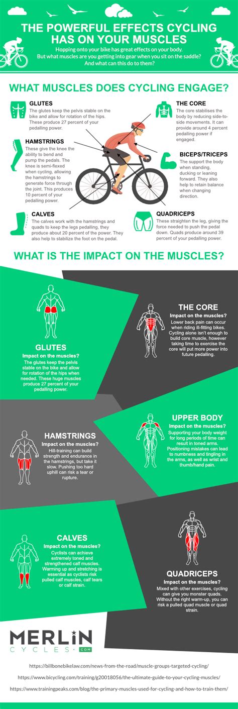 What Muscles Does Cycling Work Merlin Cycles