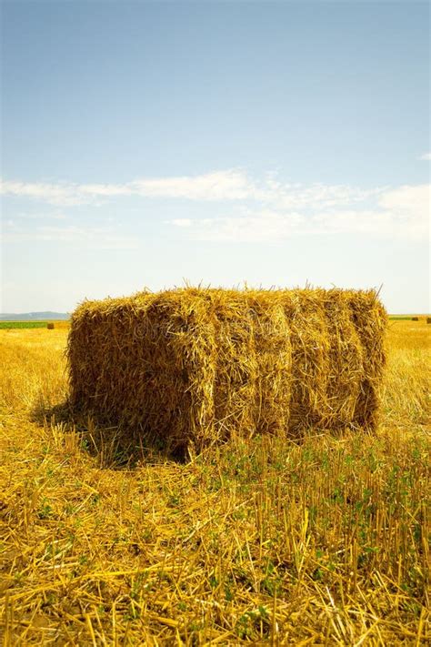 Hay Stack On The Agriculture Field Vertical View Stock Image Image