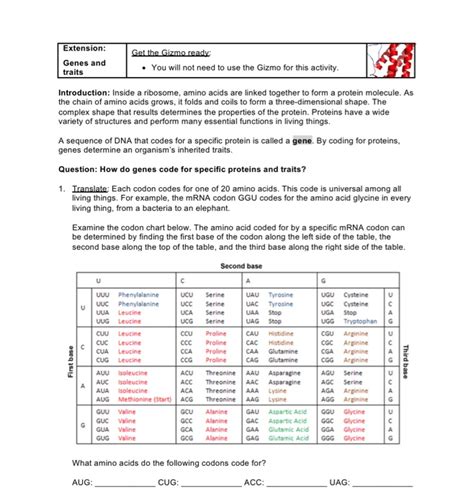 Each codon codes for a specific amino acid or building block of a protein. Building Dna Gizmo Answer Key / Student Exploration Food Chain Answer Key Pdf Food Chain Gizmo ...