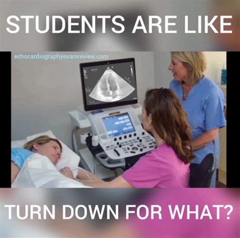 Echocardiography Humor Sonography Humor Humor Memes