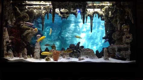 This bg is going into my 90 gal which will house an all male haps and peac. DIY Underwater Cavern Aquarium with 3D background - YouTube