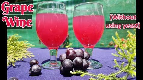 Grape Wine Recipe Without Yeast Homemade Grape Wine How To Make