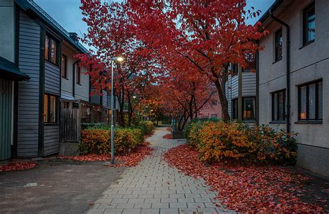 赤葉の木、 秋、 葉、 木、 ライト、 通り、 家、 夜、 ストックホルム、 スウェーデン、 歩道、 茂み、 Hdデスクトップの壁紙