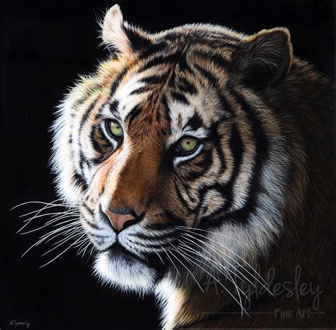 Acrylic Paintings Of Tigers