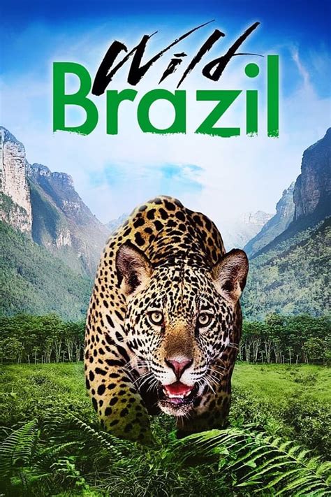 Wild Brazil 2014 — The Movie Database Tmdb