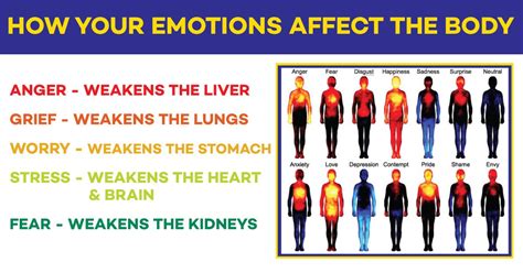 How Negative Emotions Affect Our Body And Its Response To Disease And